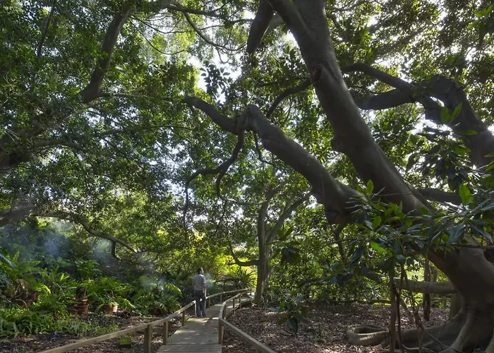 Sa Matta - Morada 3*